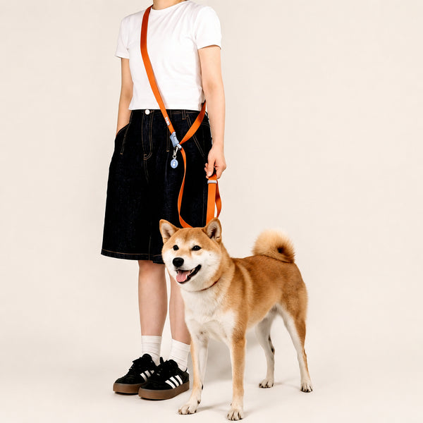Multi-way Hands-free Leash