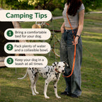 Multi-way Hands-free Leash