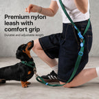 Multi-way Hands-free Leash