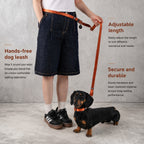 Multi-way Hands-free Leash