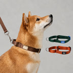 Figure-8 Escape-proof Collar Leash