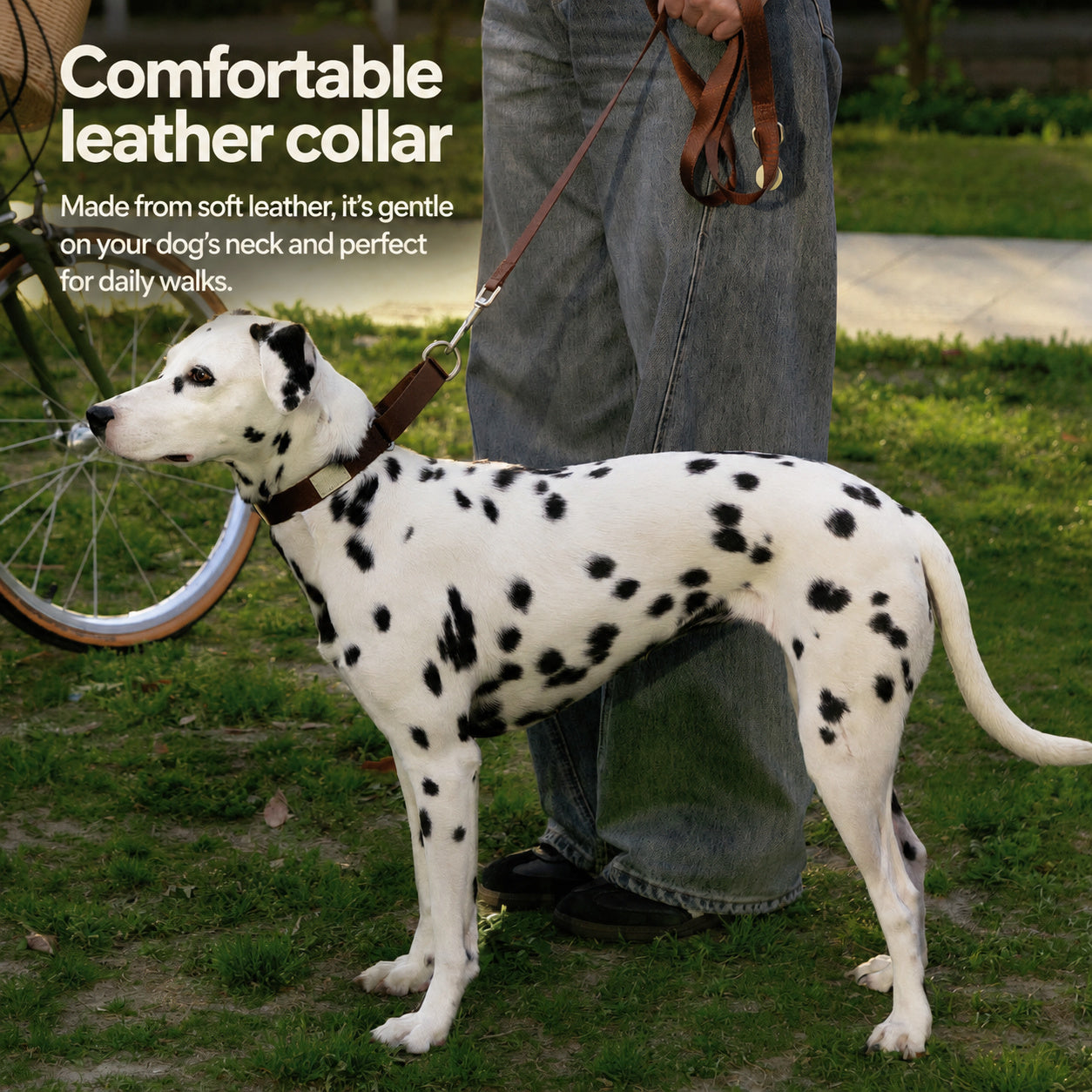 Figure-8 Escape-proof Collar Leash