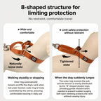 Figure-8 Escape-proof Collar Leash