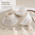Floral Antibacterial Recovery Collar