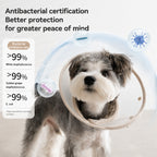 Floral Antibacterial Recovery Collar