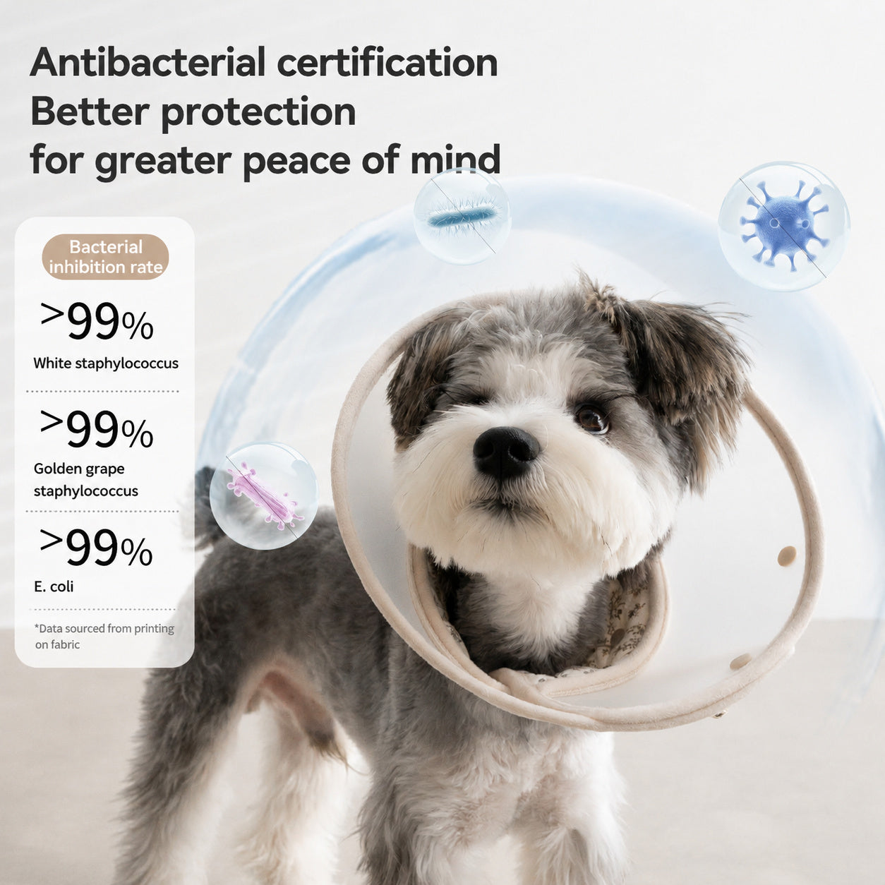 Floral Antibacterial Recovery Collar