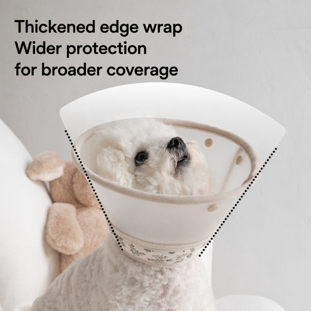 Floral Antibacterial Recovery Collar