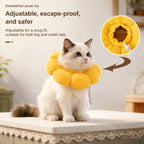 Flower Recovery Collar