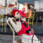 Denim Harness With Sun Hat