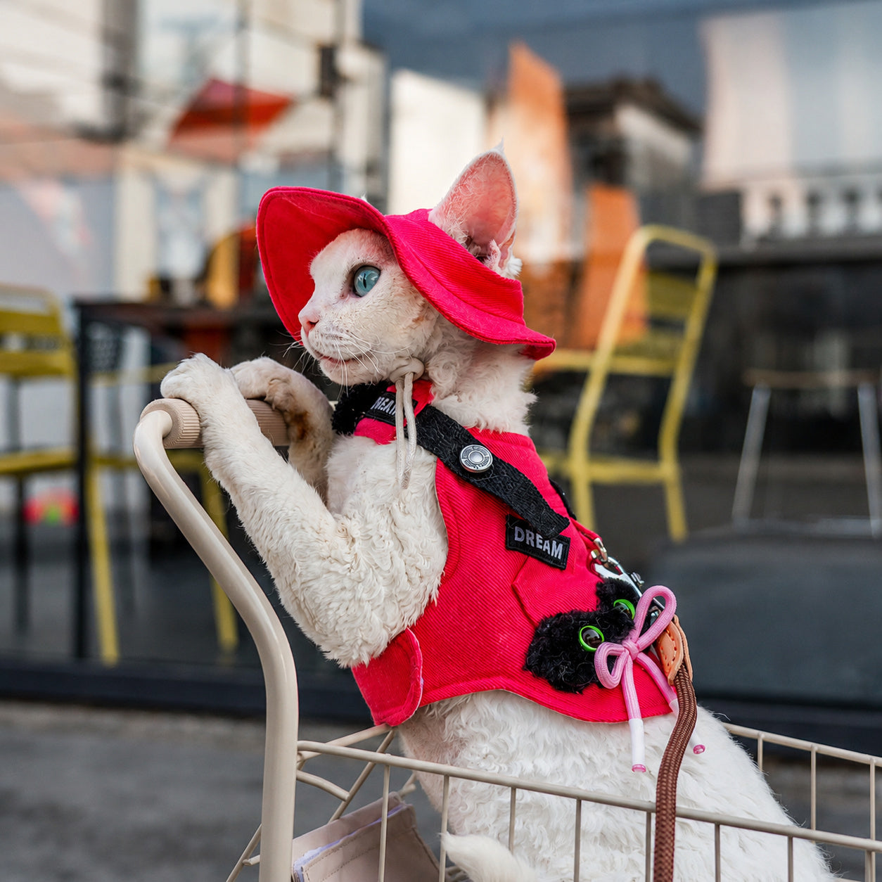 Denim Harness With Sun Hat