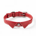 Engraved Leather Pet Collar