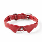 Engraved Leather Pet Collar
