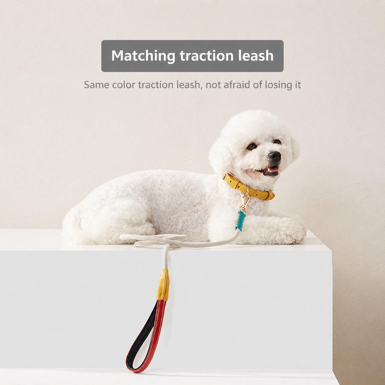 Engraved Leather Pet Collar