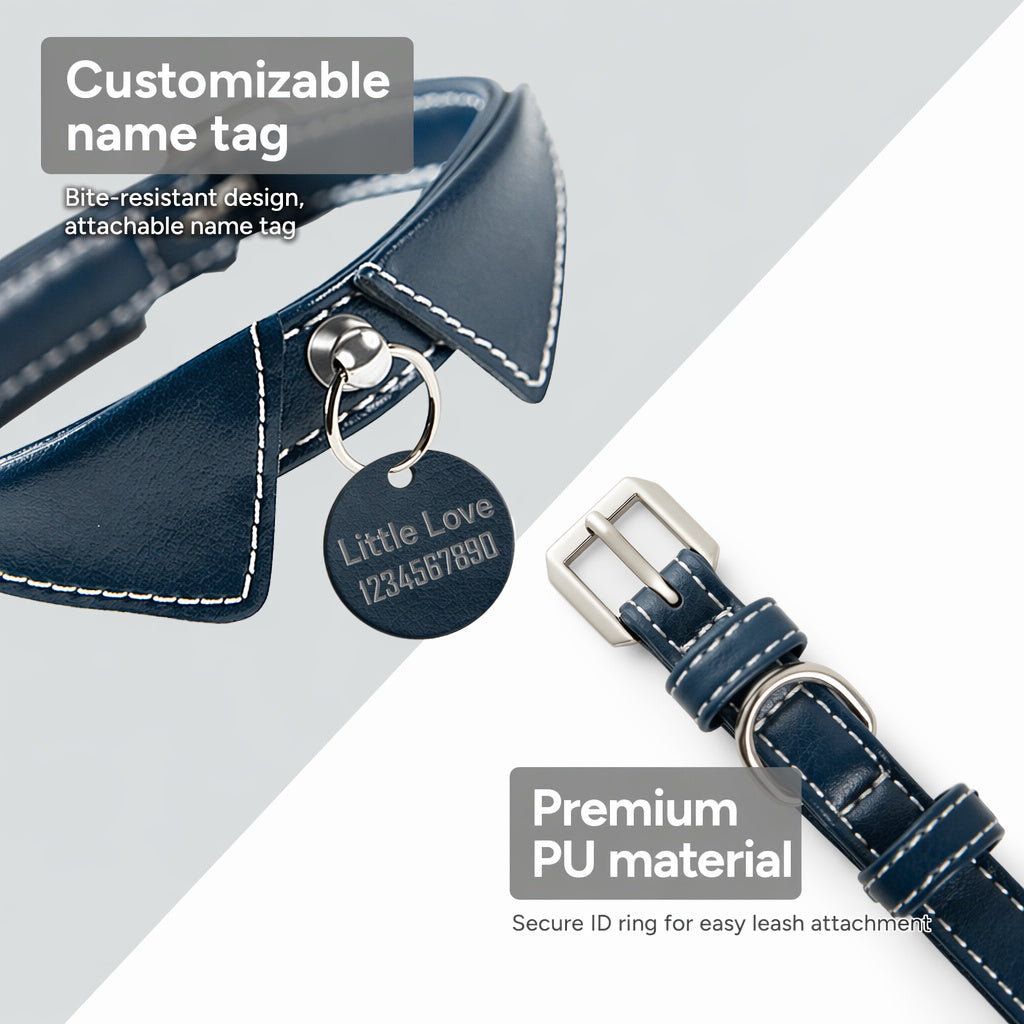Engraved Leather Pet Collar