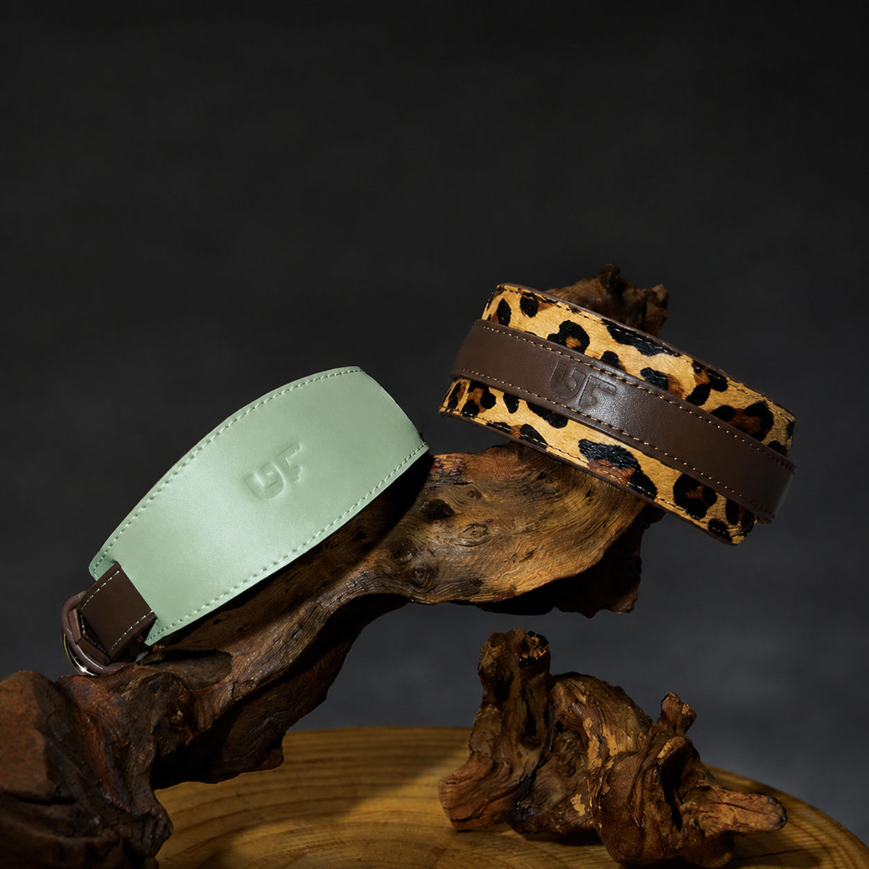 Genuine Leather Sighthound Collar