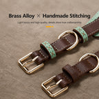 Genuine Leather Sighthound Collar
