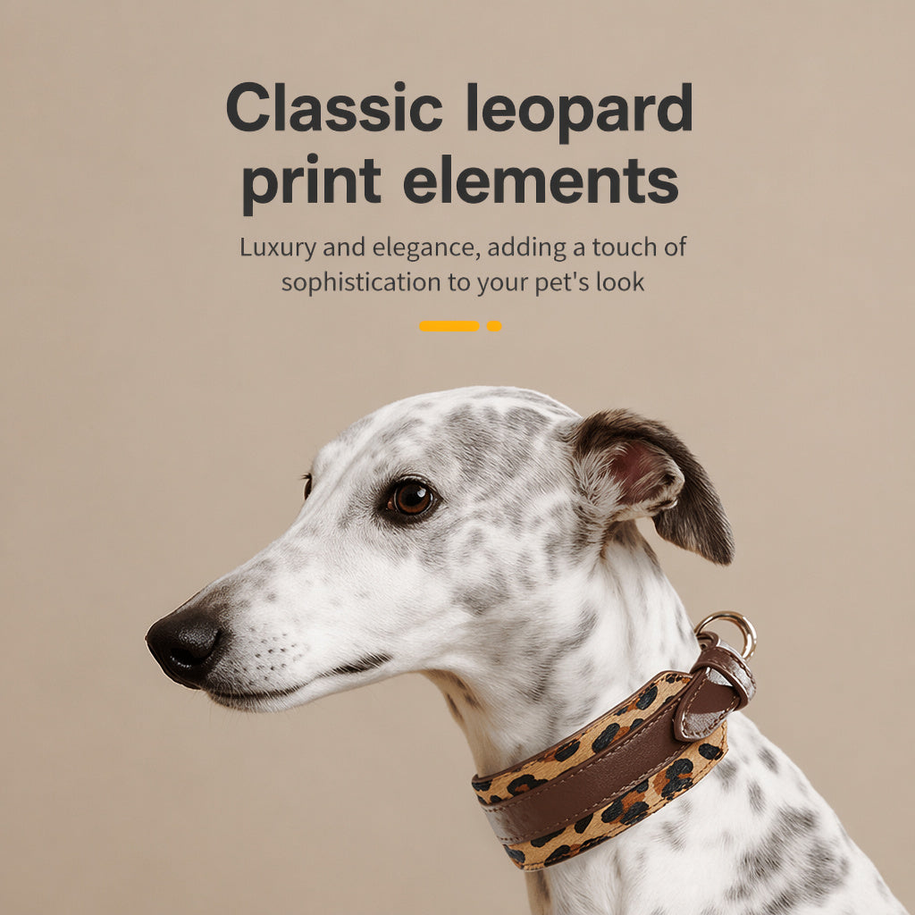 Genuine Leather Sighthound Collar