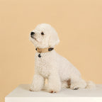 Suede Leather Dog Collar