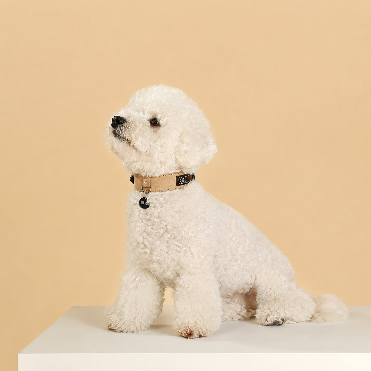 Suede Leather Dog Collar