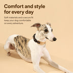 Suede Leather Dog Collar
