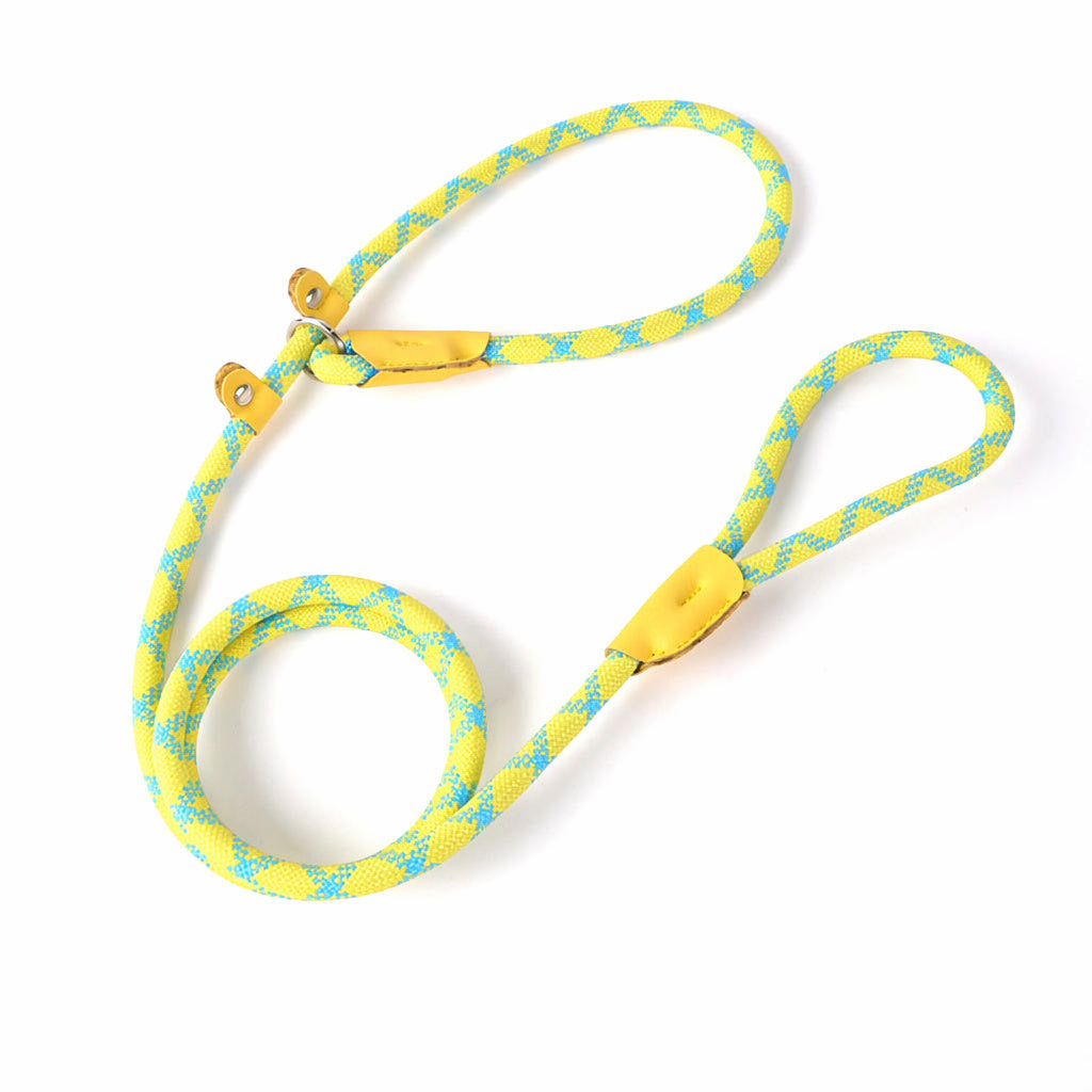Hands-Free Crossbody Slip Lead