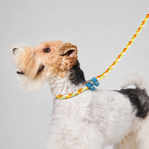 Hands-Free Crossbody Slip Lead