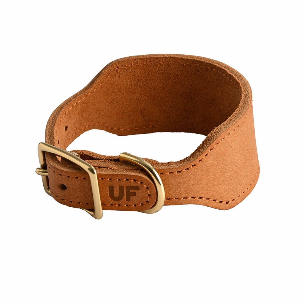 Top-grain Leather Dog Collar