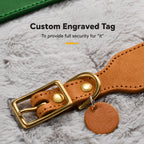 Top-grain Leather Dog Collar