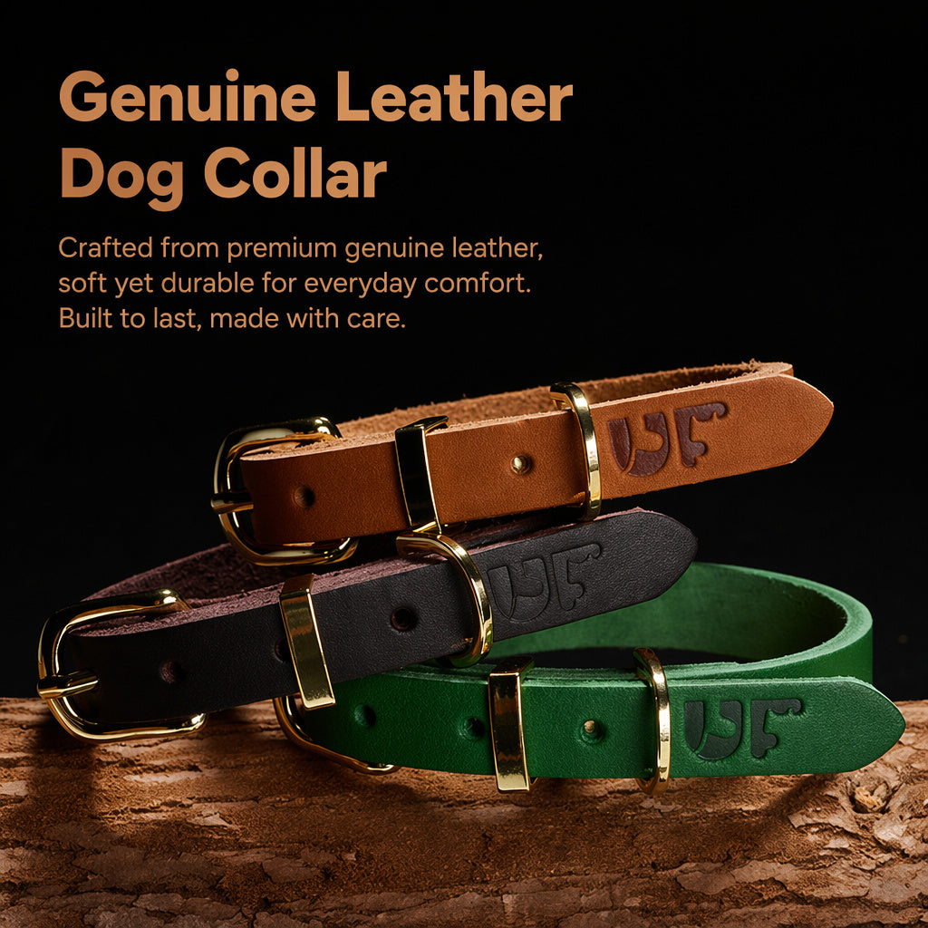 Top-grain Leather Dog Collar