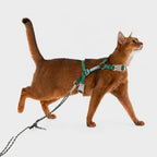 Adjustable Escape-resistant Harness Set