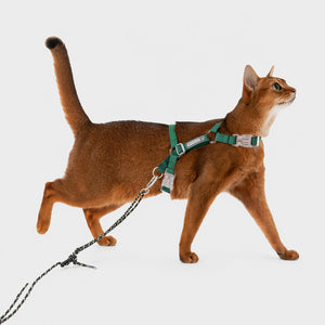 Adjustable Escape-resistant Harness Set