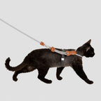 Adjustable Leather Harness Leash