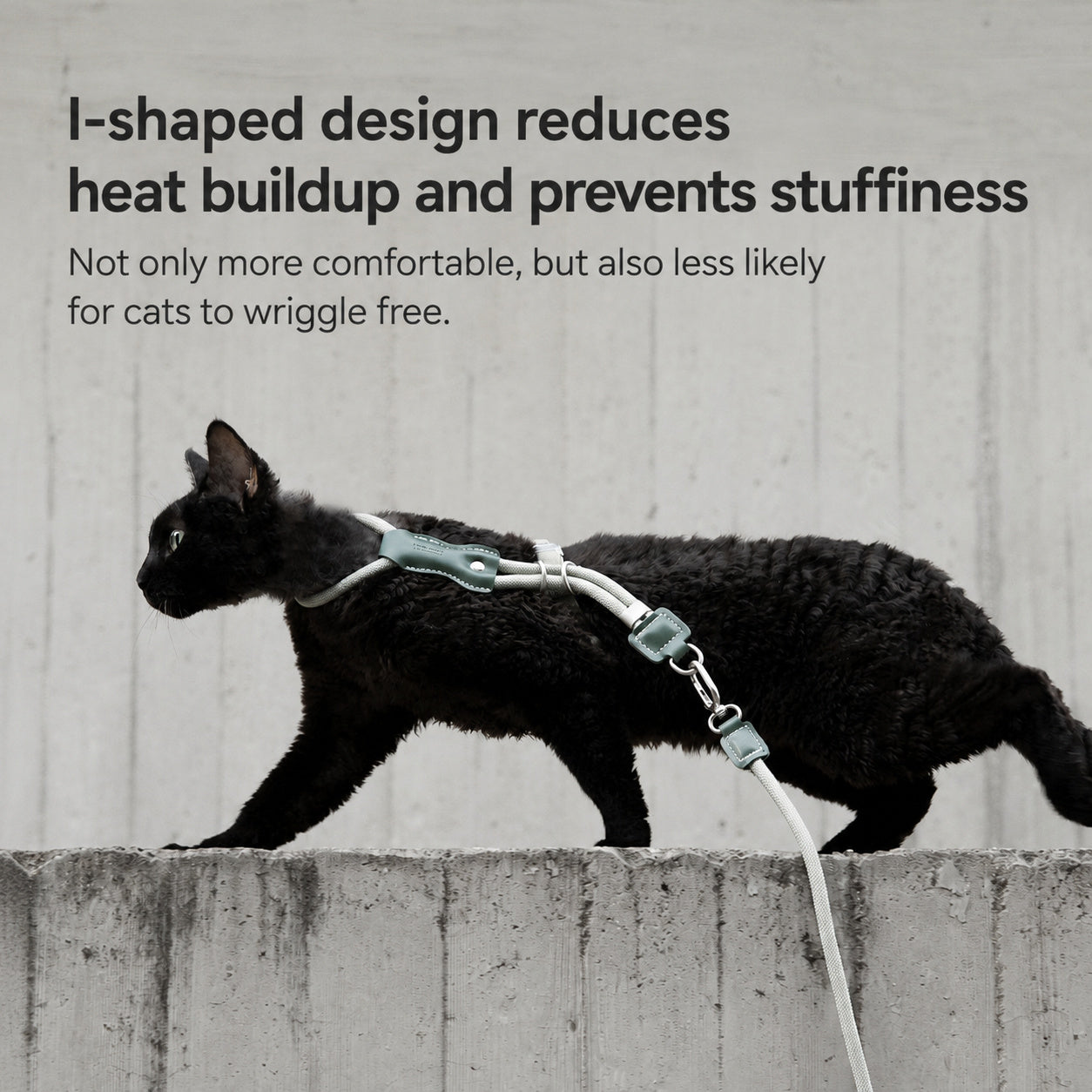 Adjustable Leather Harness Leash
