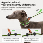 Leather-handle Slip Lead