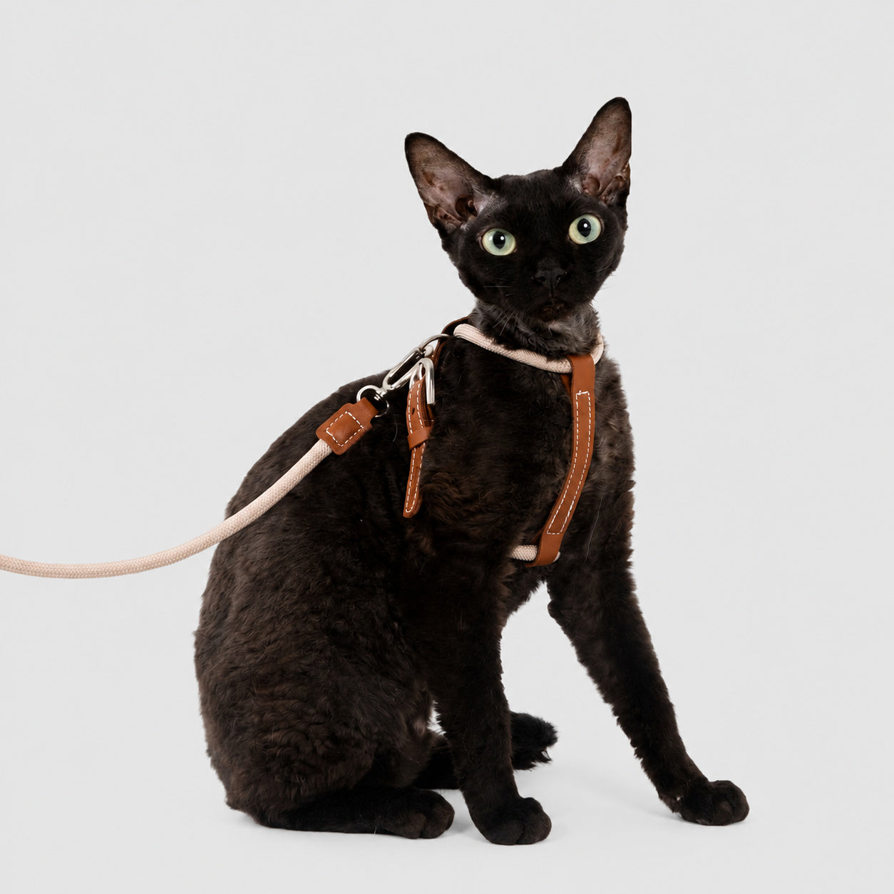 Adjustable Leather-trim Harness Set