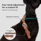 Adjustable Leather-trim Harness Set