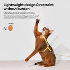 Escape-resistant Cat Harness Set
