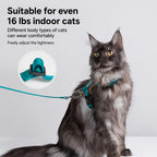 Escape-resistant Cat Harness Set