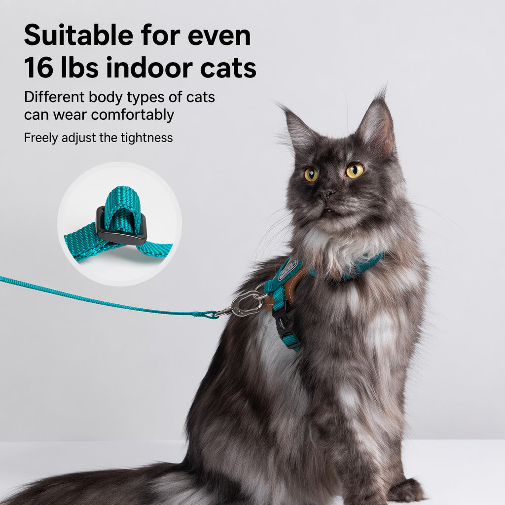 Escape-resistant Cat Harness Set