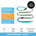 Hands-free Shock-absorbing Leash
