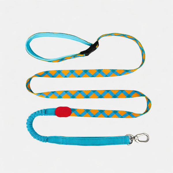 Hands-free Shock-absorbing Leash
