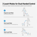 Hands-free Shock-absorbing Leash