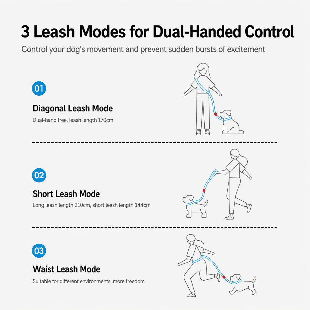 Hands-free Shock-absorbing Leash