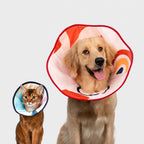 Ultra-Soft Recovery Cone