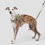 Quick-fit Dog Vest Harness