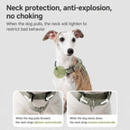Quick-fit Dog Vest Harness