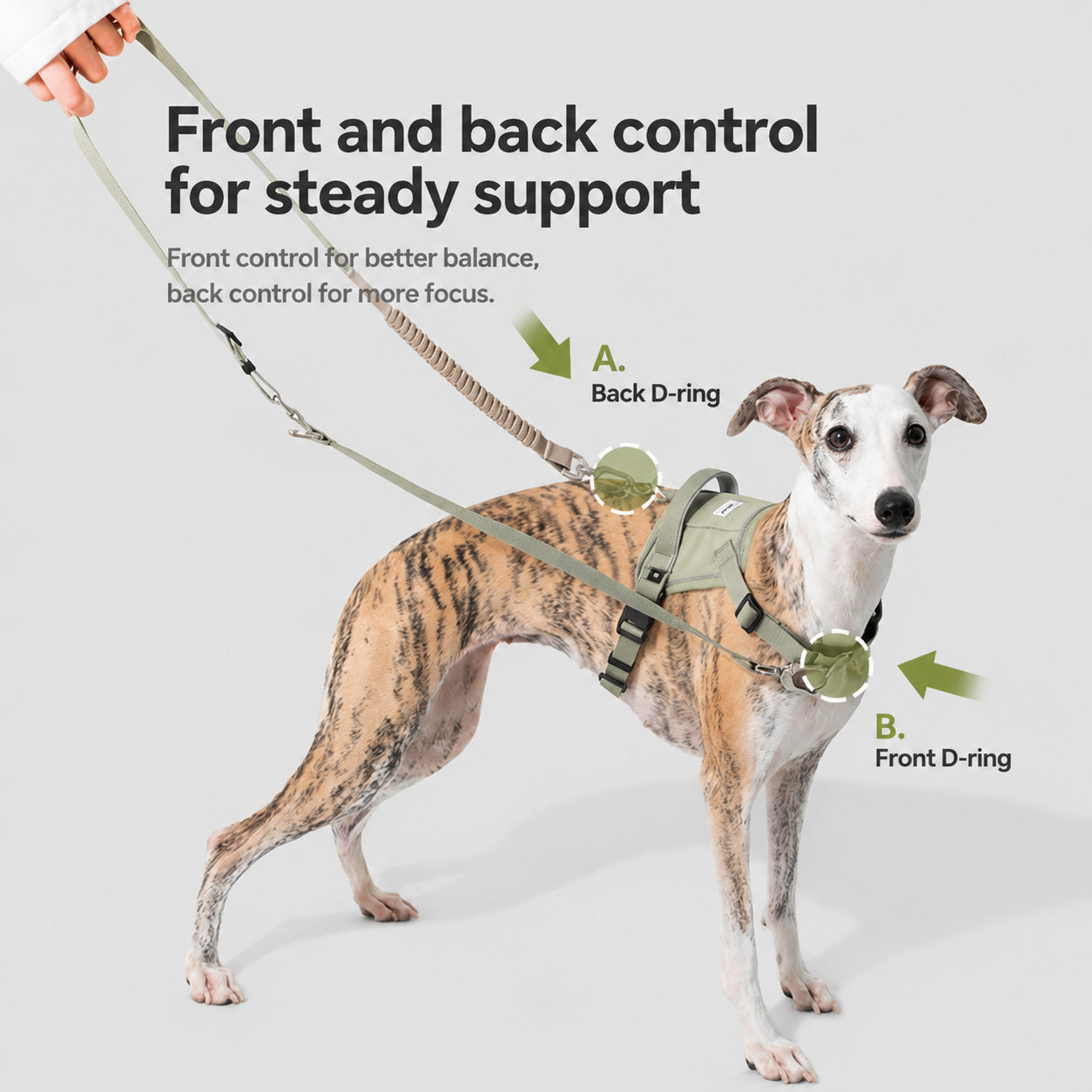 Quick-fit Dog Vest Harness
