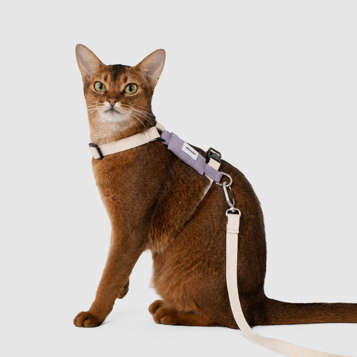 Anti-escape Cat Harness Set