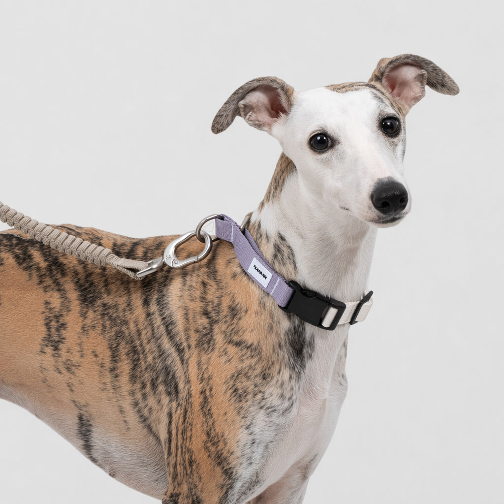No-pull Training Collar
