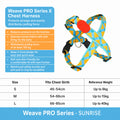 Anti-shock Harness Leash Set
